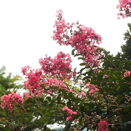 Cindy'S B&B Seoul Bagian luar foto