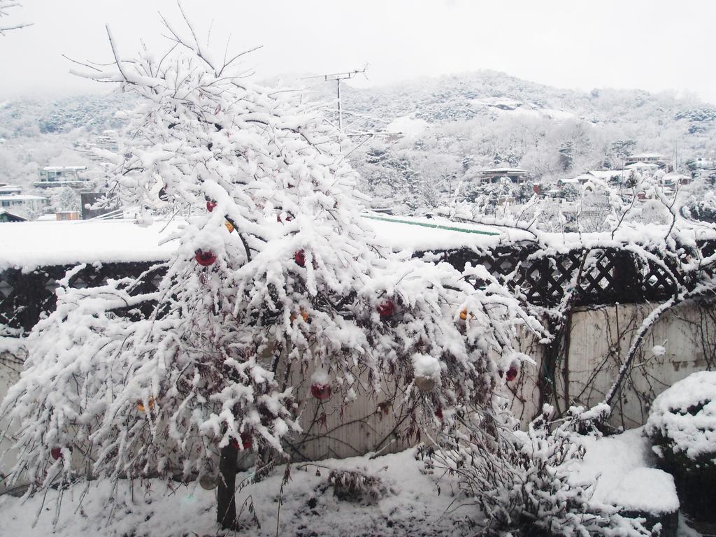 Cindy'S B&B Seoul Bagian luar foto