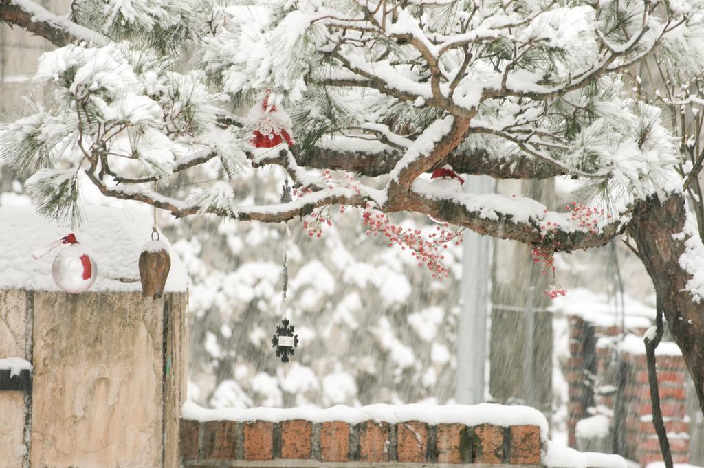 Cindy'S B&B Seoul Bagian luar foto