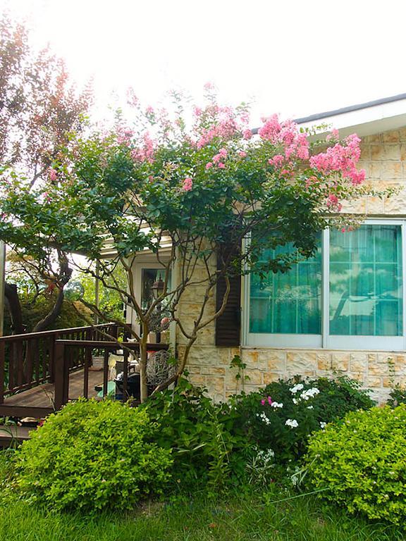 Cindy'S B&B Seoul Bagian luar foto