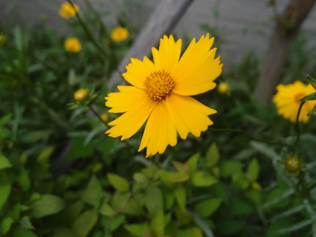 Cindy'S B&B Seoul Bagian luar foto